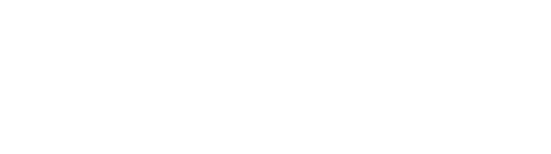 sbonssy logo